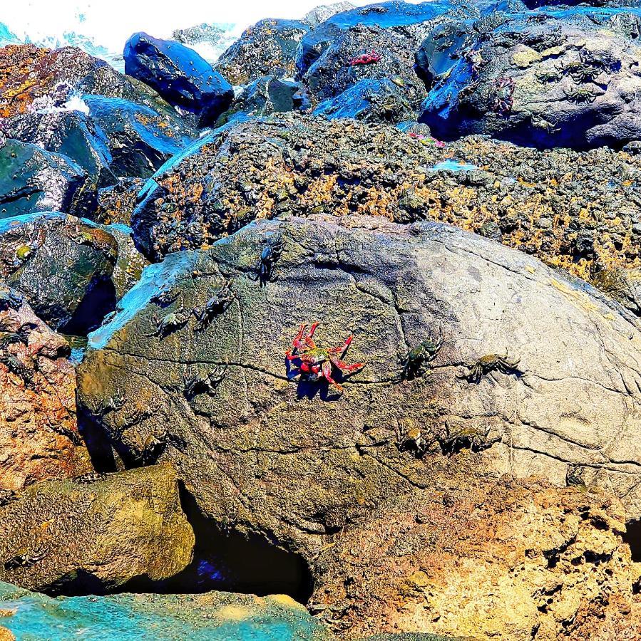 "The Red Crab Studio" By Bbhome At Gran Canaria Airport - Wifi 300 Mbps El Burrero 外观 照片